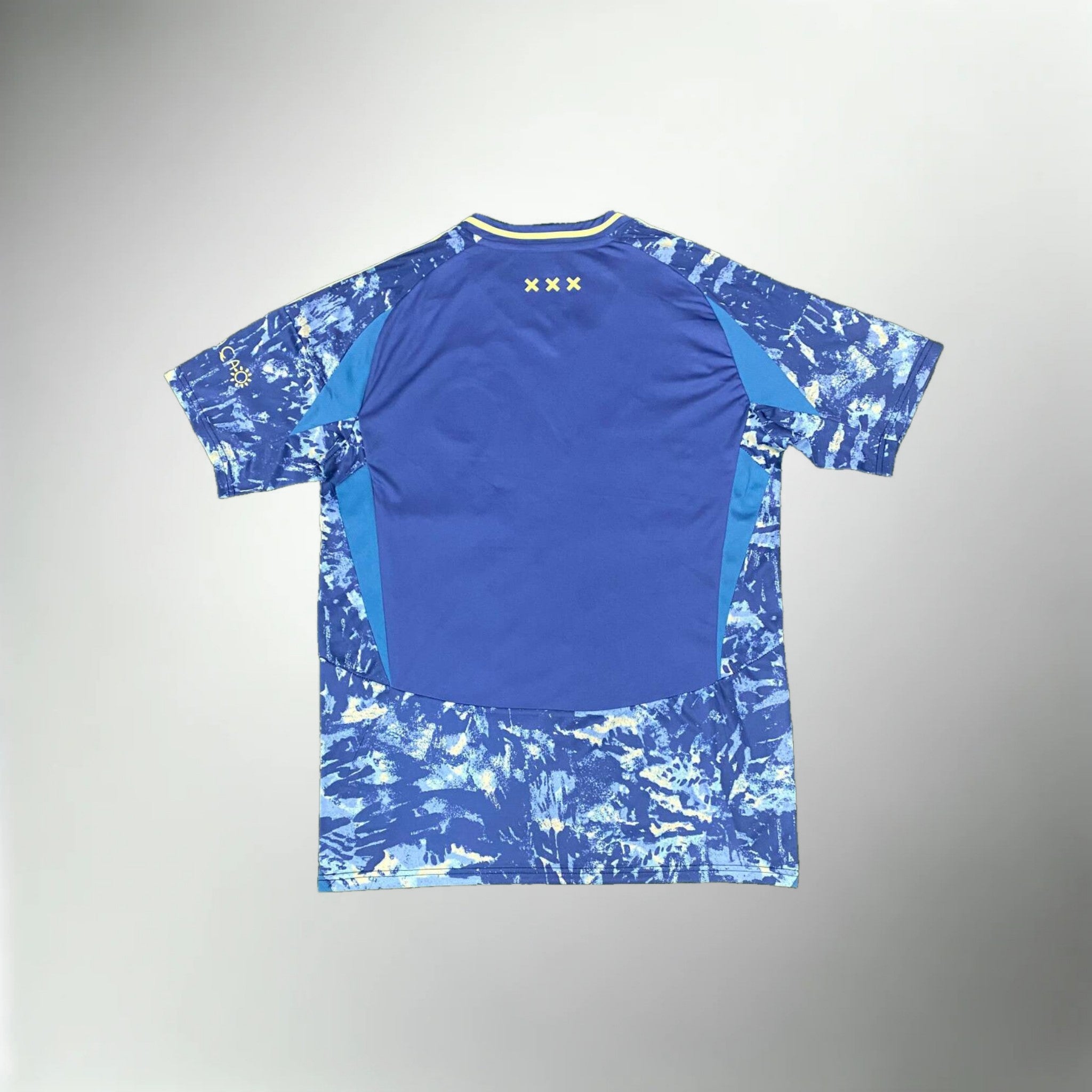 Ajax 2024-2025 Away Kit