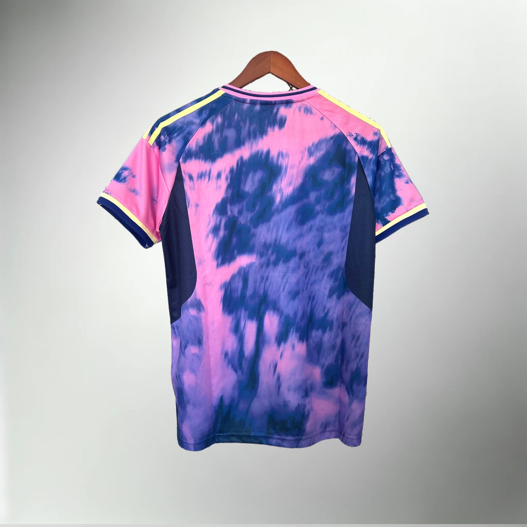 Japan "Neo Hokusai" Special Kit