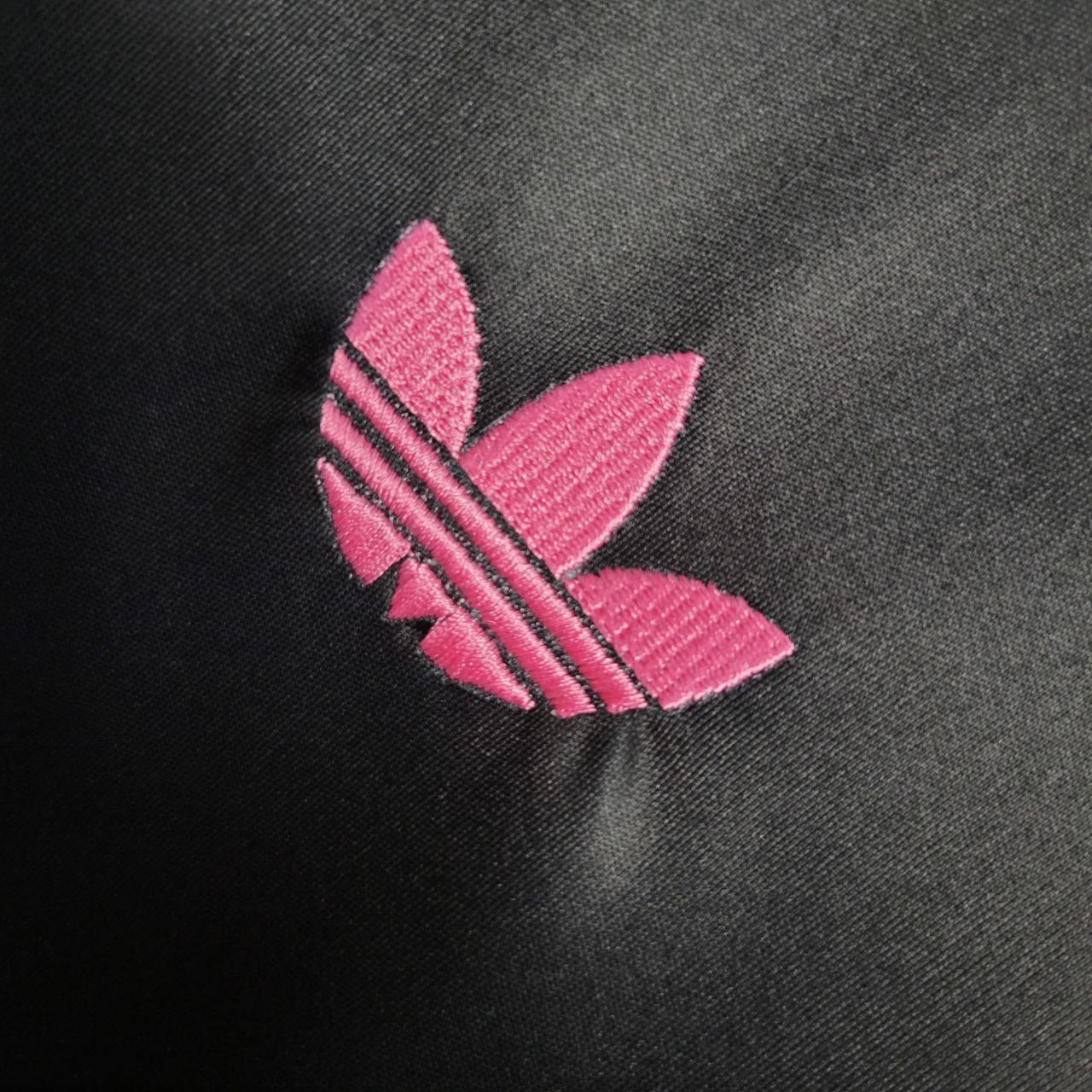 Japan "Neon Dragon" Special Kit